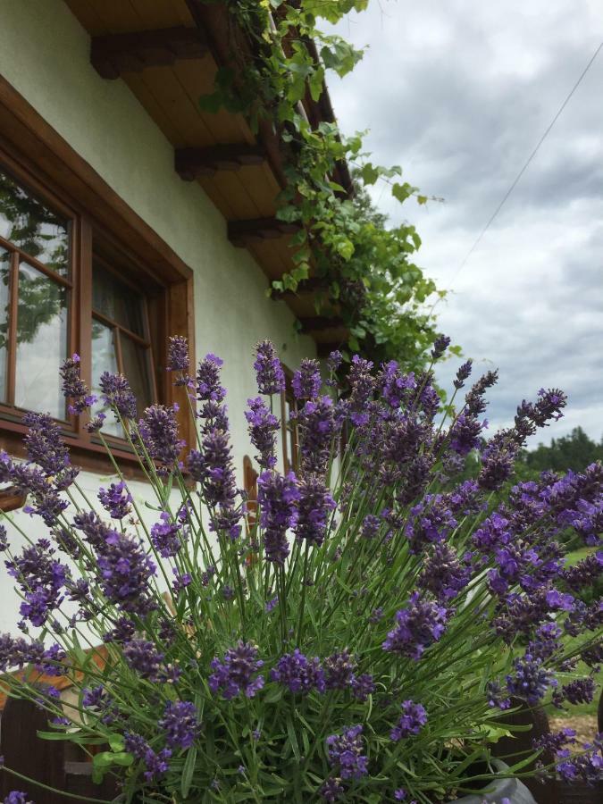 Bed and Breakfast Dom Rodziny Sojków Białka Tatrzańska Exterior foto